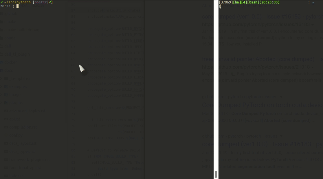 pytorch_python3_core_dump_henry_wu