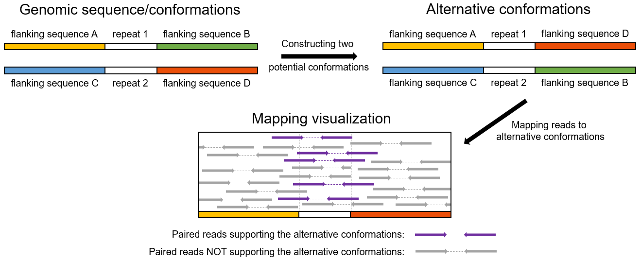 GitHub - yurunxian/mito_recombinator: A pipeline used to analyze repeat ...