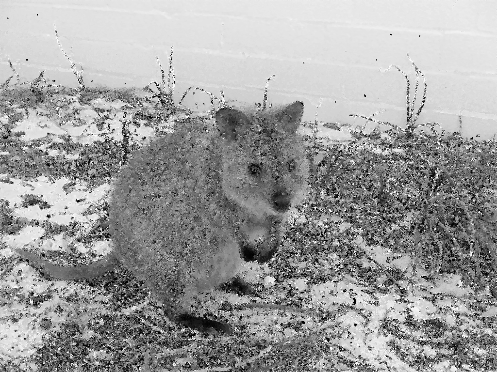 GitHub Latkos/MedianFiltersinAssemblers Median filter implemented