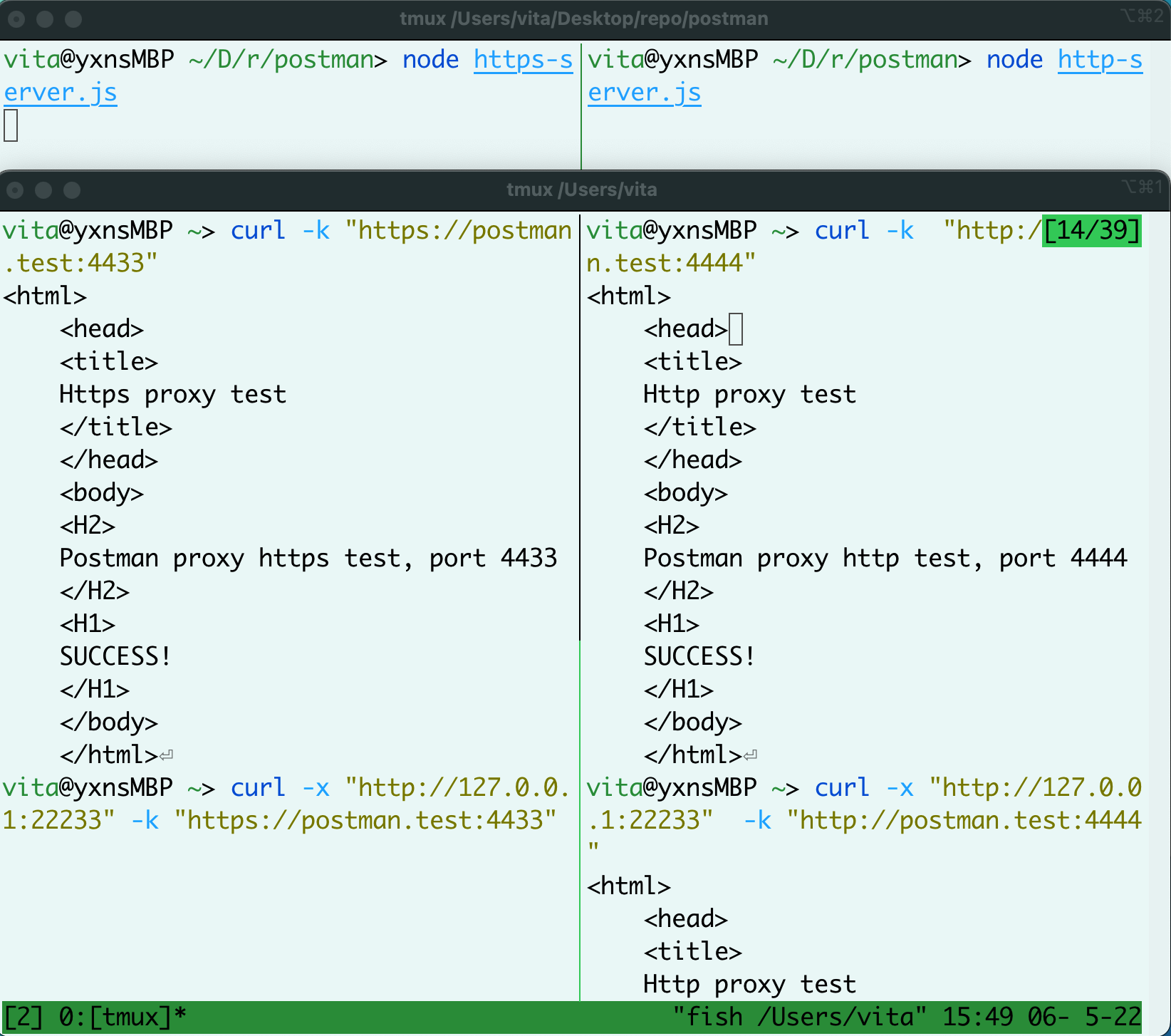 Postman Proxy to can't capture https requests with port other than 443
