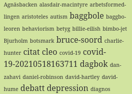 Screenshot of broken tag names