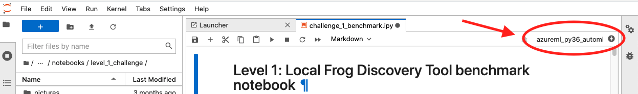 kernel
