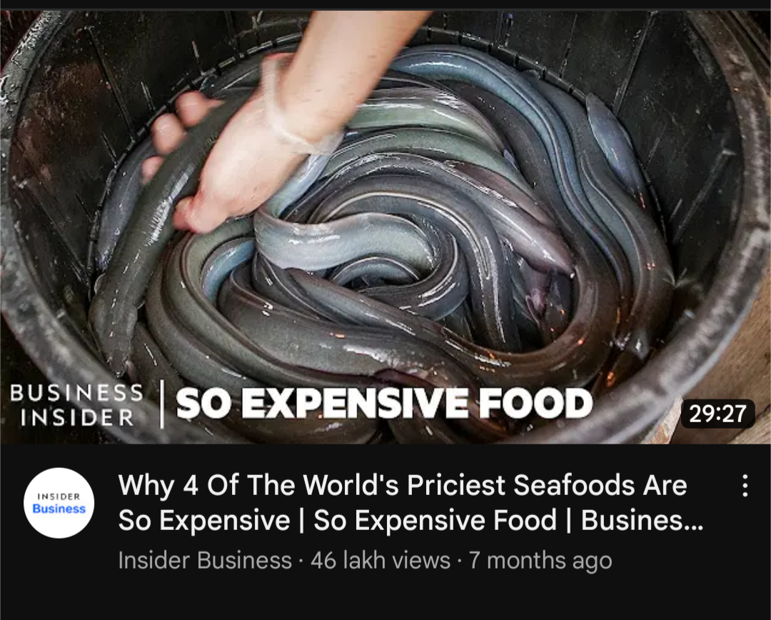 Screenshot_20221223-211132_YouTube_ReVanced