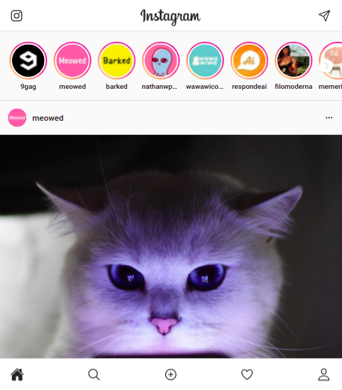 Imagem: Instagram Tablet