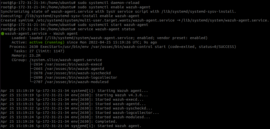 Release 4.3.0 - Manual tests - File Integrity Monitoring · Issue #13220 ...
