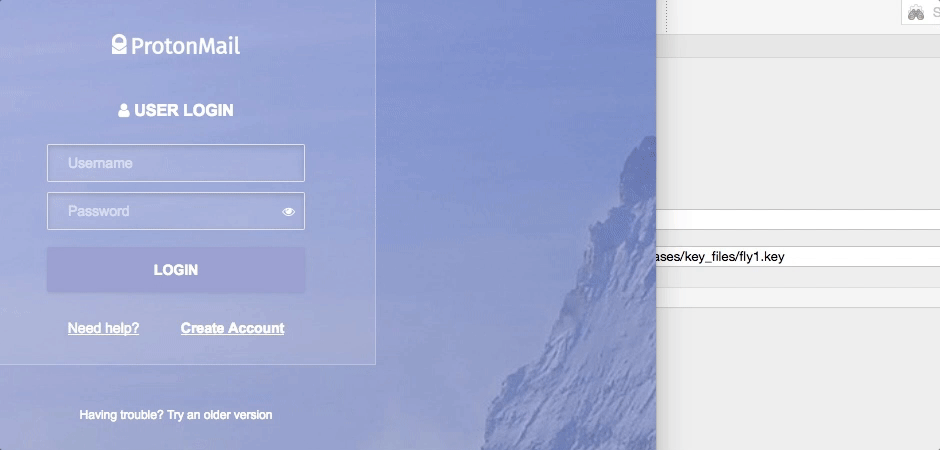 keepassxc-2-2-1global-auto-type-bug