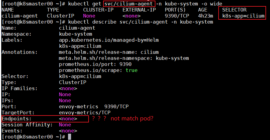 service cannot match endpoint · Issue #17681 · cilium/cilium · GitHub