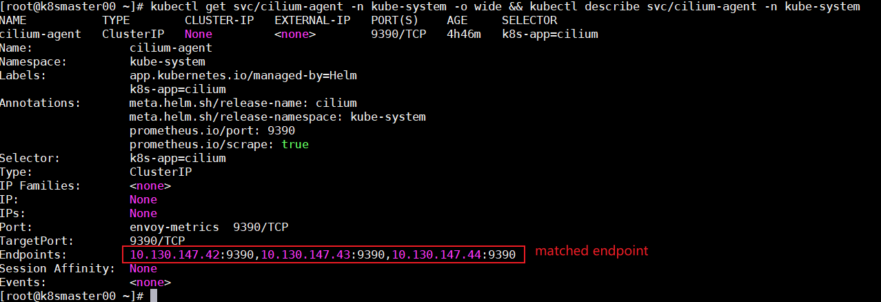 service cannot match endpoint · Issue #17681 · cilium/cilium · GitHub