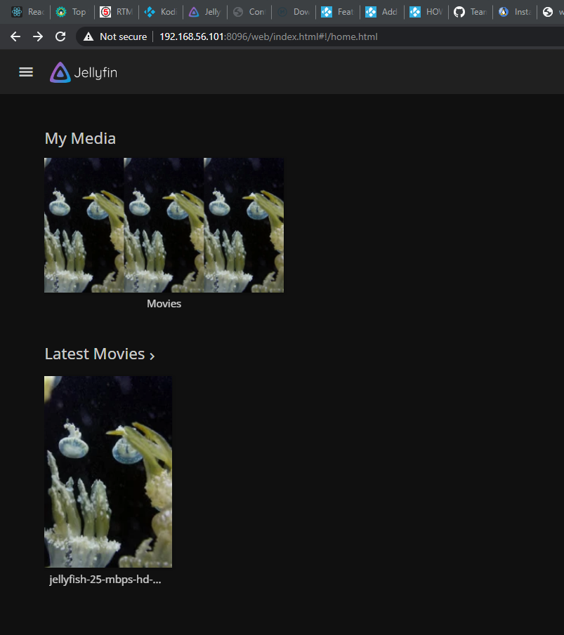 Fedora install fails · Issue 5572 · jellyfin/jellyfin · GitHub