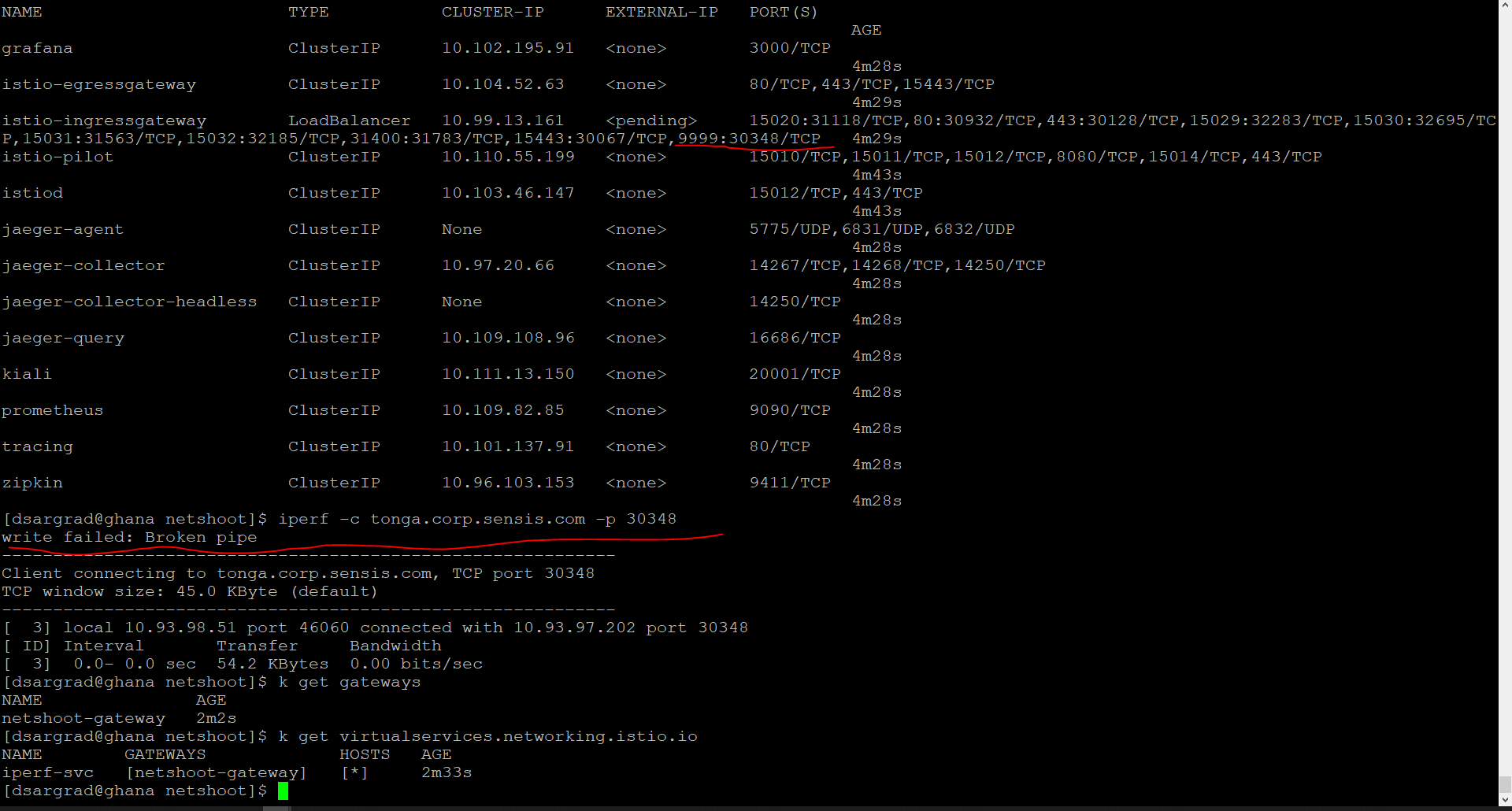 TCP Gateway/Virtual Service Not Working · Issue 23249 · istio/istio