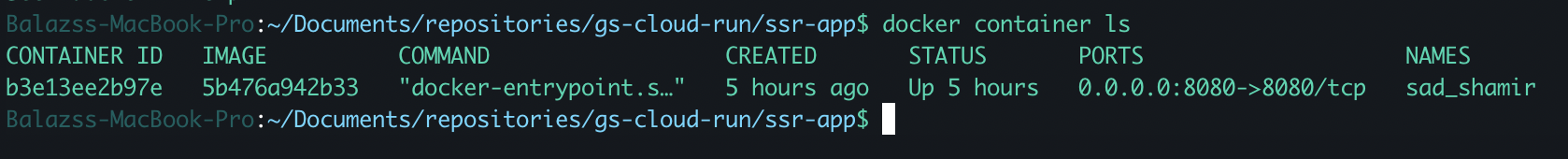 Cloud Run error: Container failed to start. Failed to start and then ...