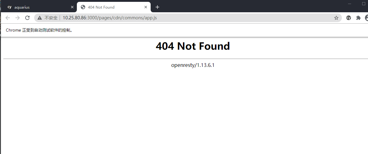 Visit vue project bundle get 404 in Chrome opened by cypress, but 200 ...