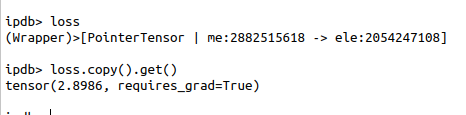 requires_grad_True