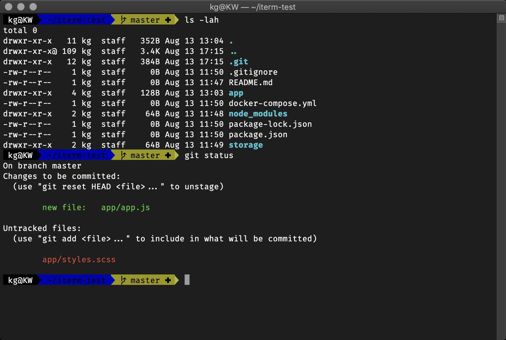 ohmyzsh prompt