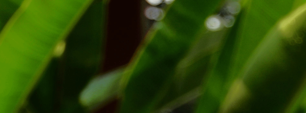 CXYRlG2r7h