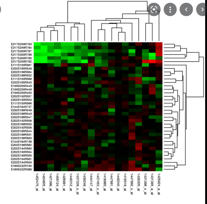 Two tree like pheatmap · Issue #462 · YuLab-SMU/ggtree · GitHub