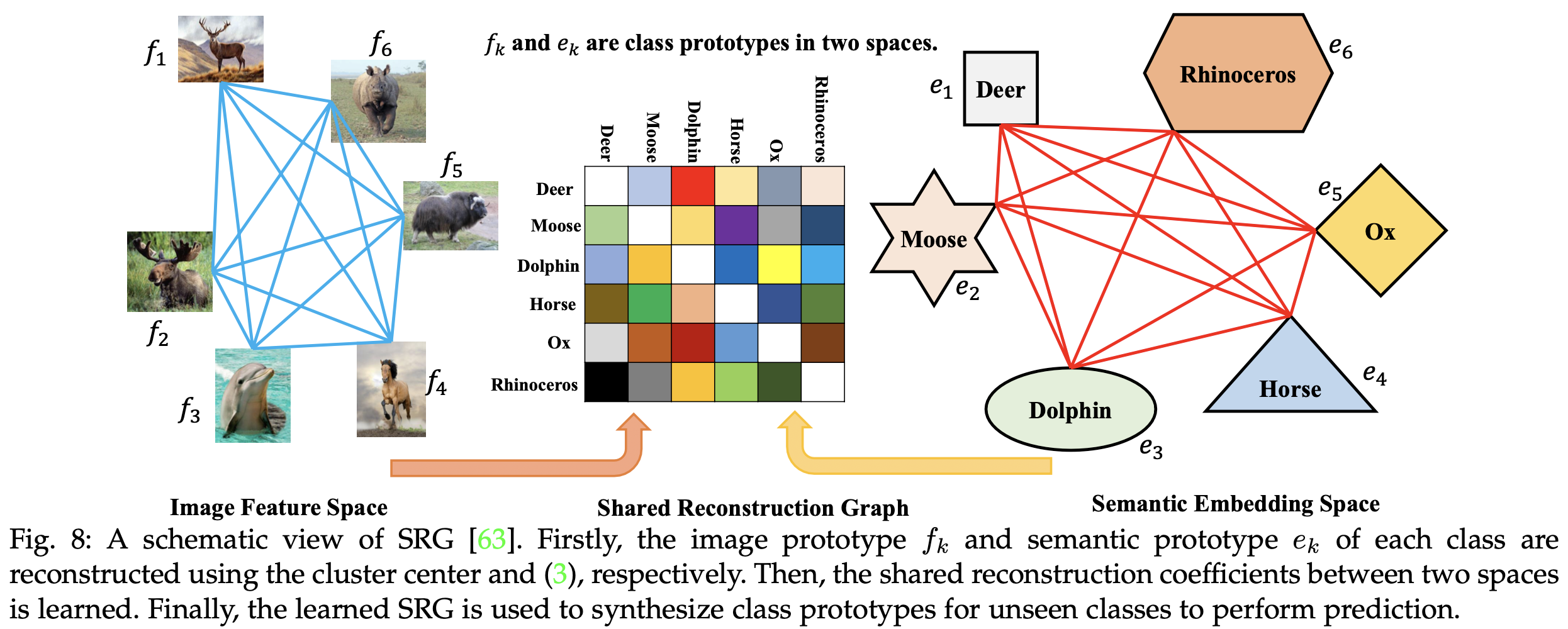 Fig8