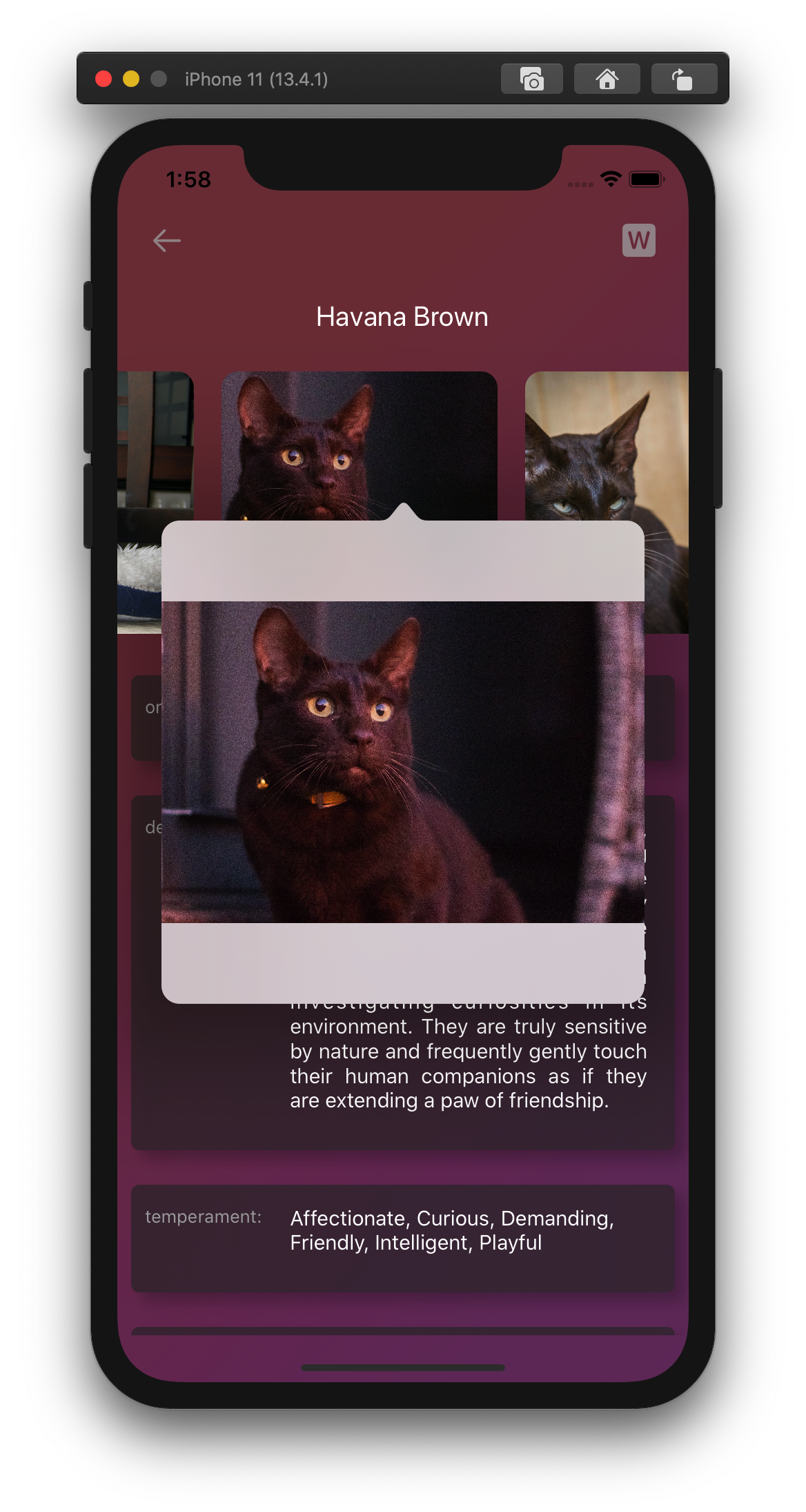 GitHub - xredlinex/CatBreeds: cat breeds the cats api