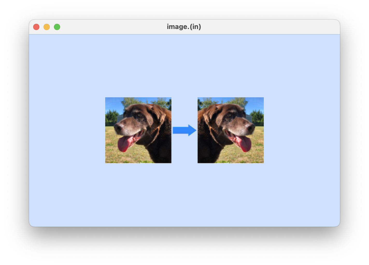 GitHub - brettmorrisonAO5ANNEX/Image-Processor: simple image editor ...