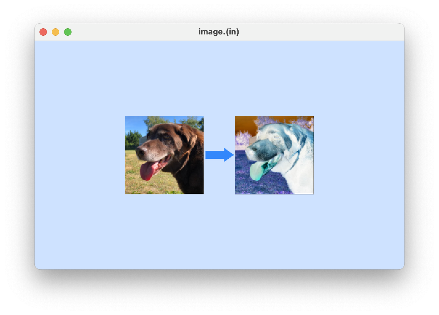 GitHub - brettmorrisonAO5ANNEX/Image-Processor: simple image editor ...