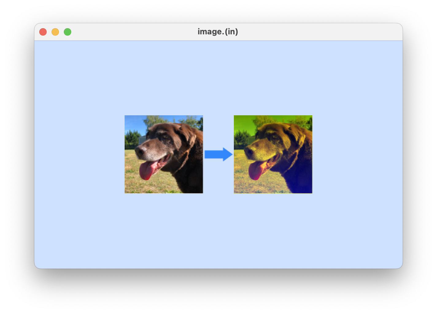 GitHub - brettmorrisonAO5ANNEX/Image-Processor: simple image editor ...