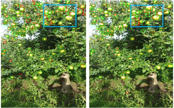 GitHub - jeongsinae/AppleDetect: MinneApple dataset을 이용한 Apple Detection