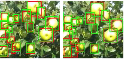 GitHub - jeongsinae/AppleDetect: MinneApple dataset을 이용한 Apple Detection