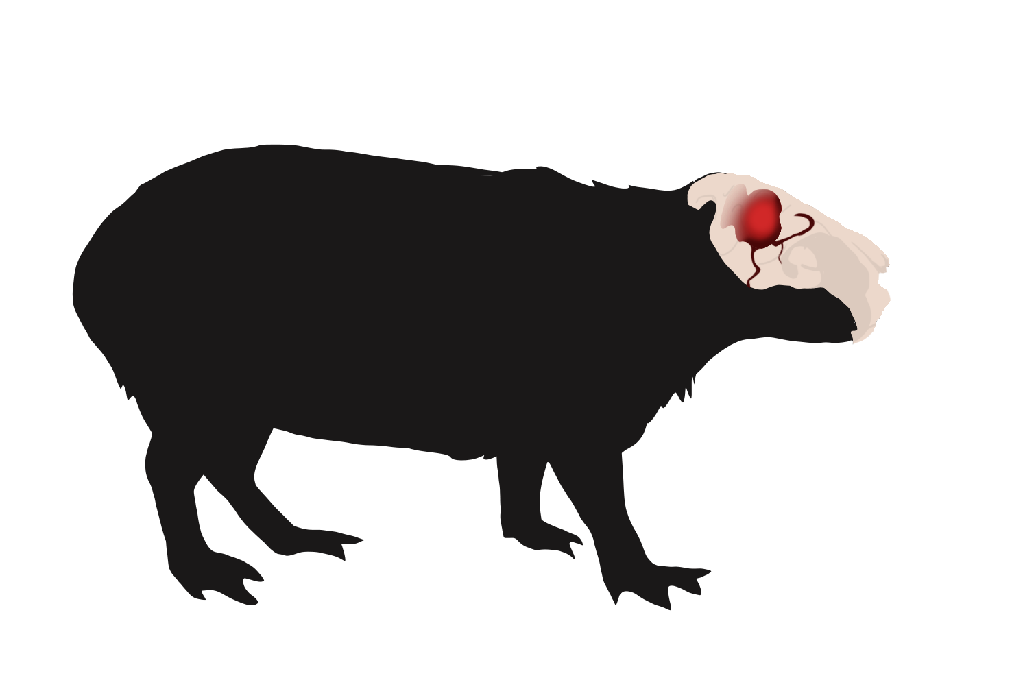 H_CA_EnemyCapyburra01