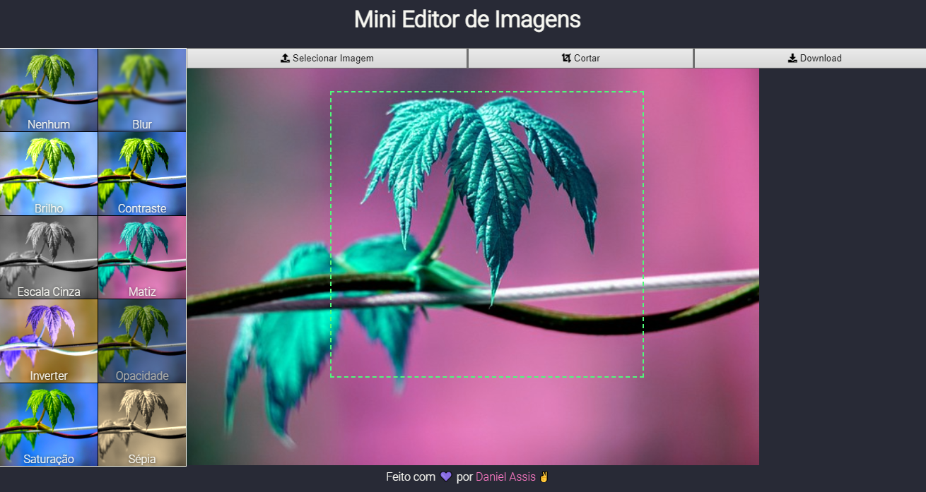GitHub - DanielMAssis/MiniEditorImage