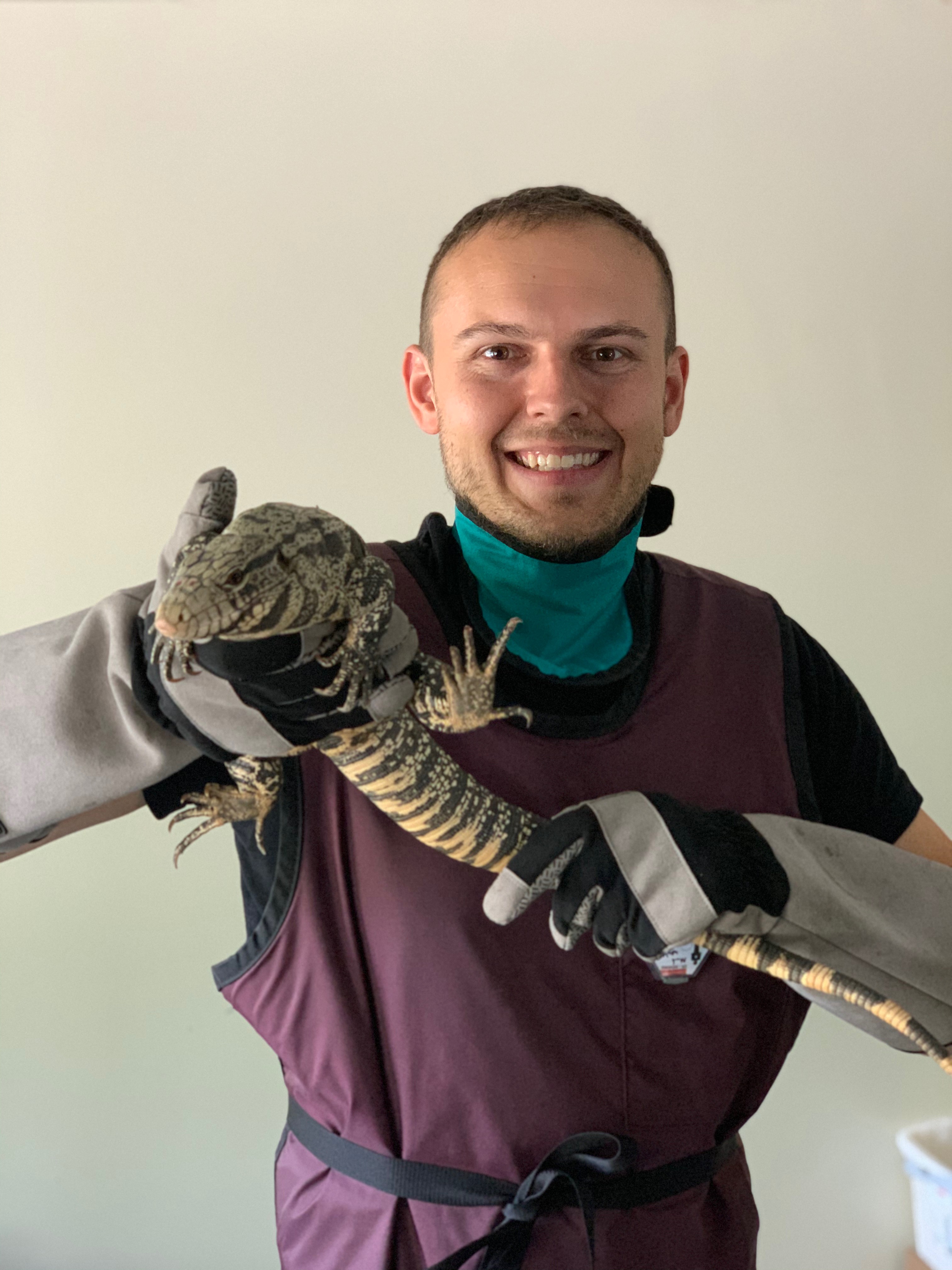 Tegu XROMM
