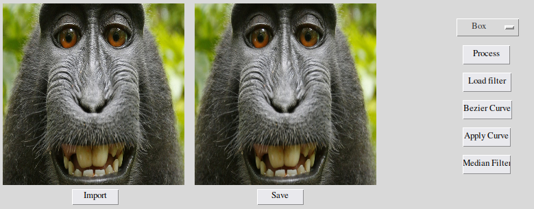 GitHub - DenDen039/kernel-filter-processing