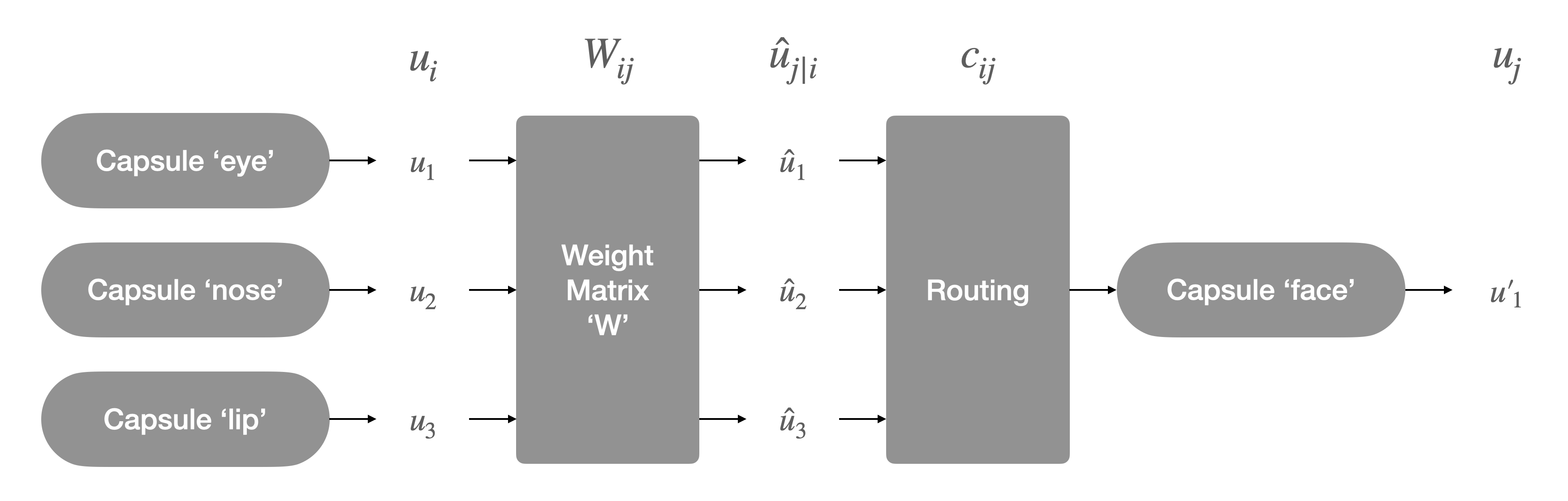 [2017 NIPS] Dynamic Routing Between Capsules · Issue #35 · Jasonlee1995 ...