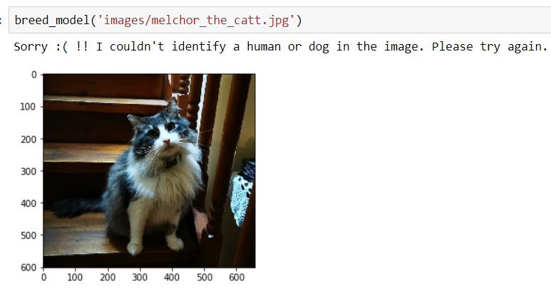 Cnn Model Animal Example GitHub - alexrop/cnn_dog_breed_classifier: Convolutional Neural Network ...