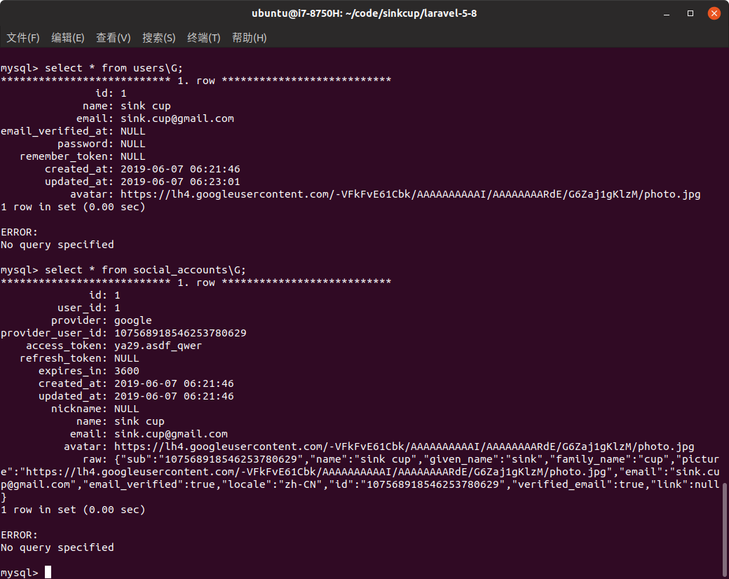 Laravel database after logged in with Google