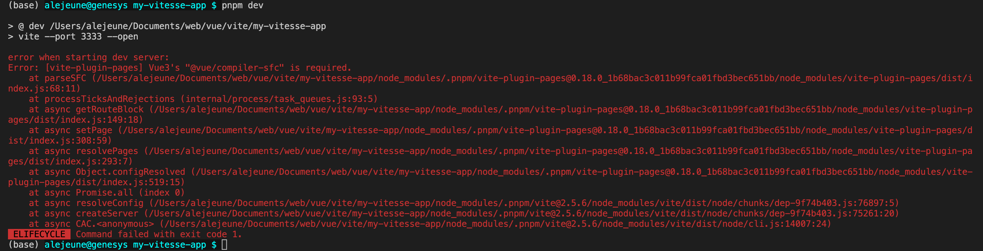 vite-plugin-pages : Build error · Issue #197 · antfu-collective/vitesse ...