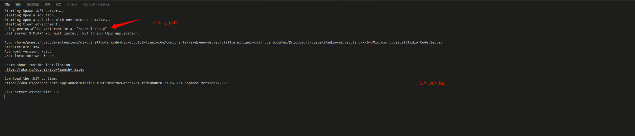 There are some problems connecting to the language server · Issue #6513 ...