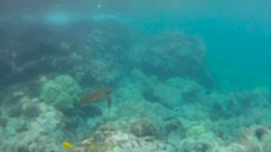 GitHub - adironene/underwaterImage: codes to process underwater images