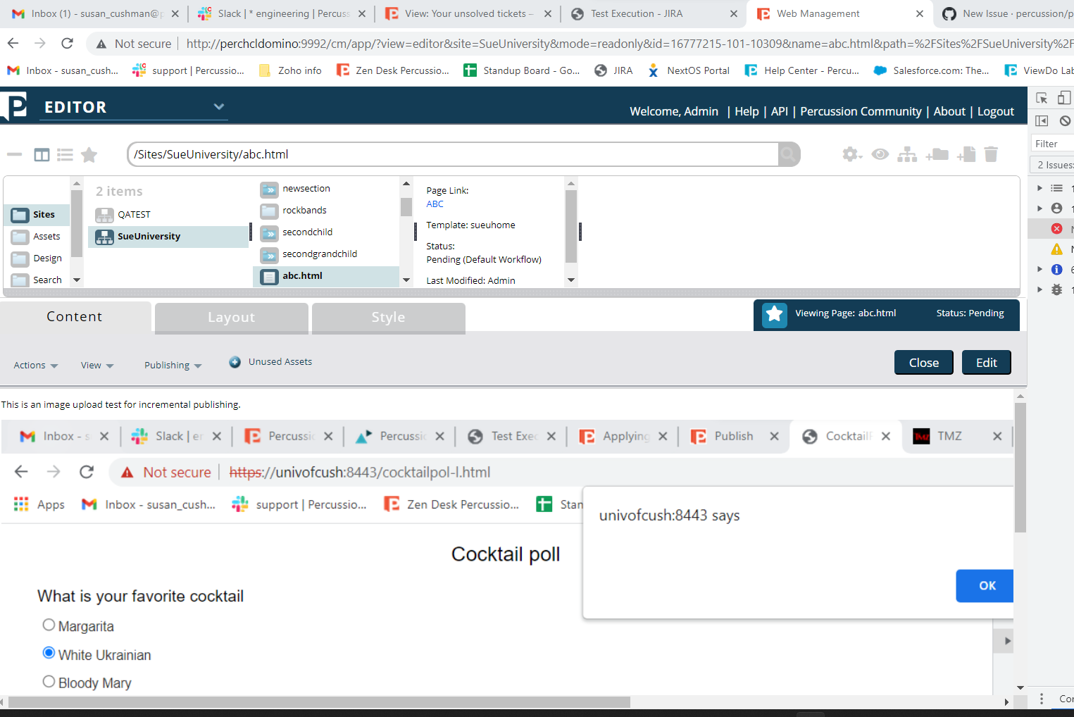 Incremental Publishing - Publish related items being deselected is ...