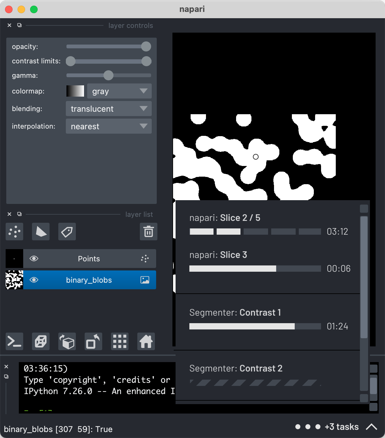 A small napari window with the progress bars pop up in it.