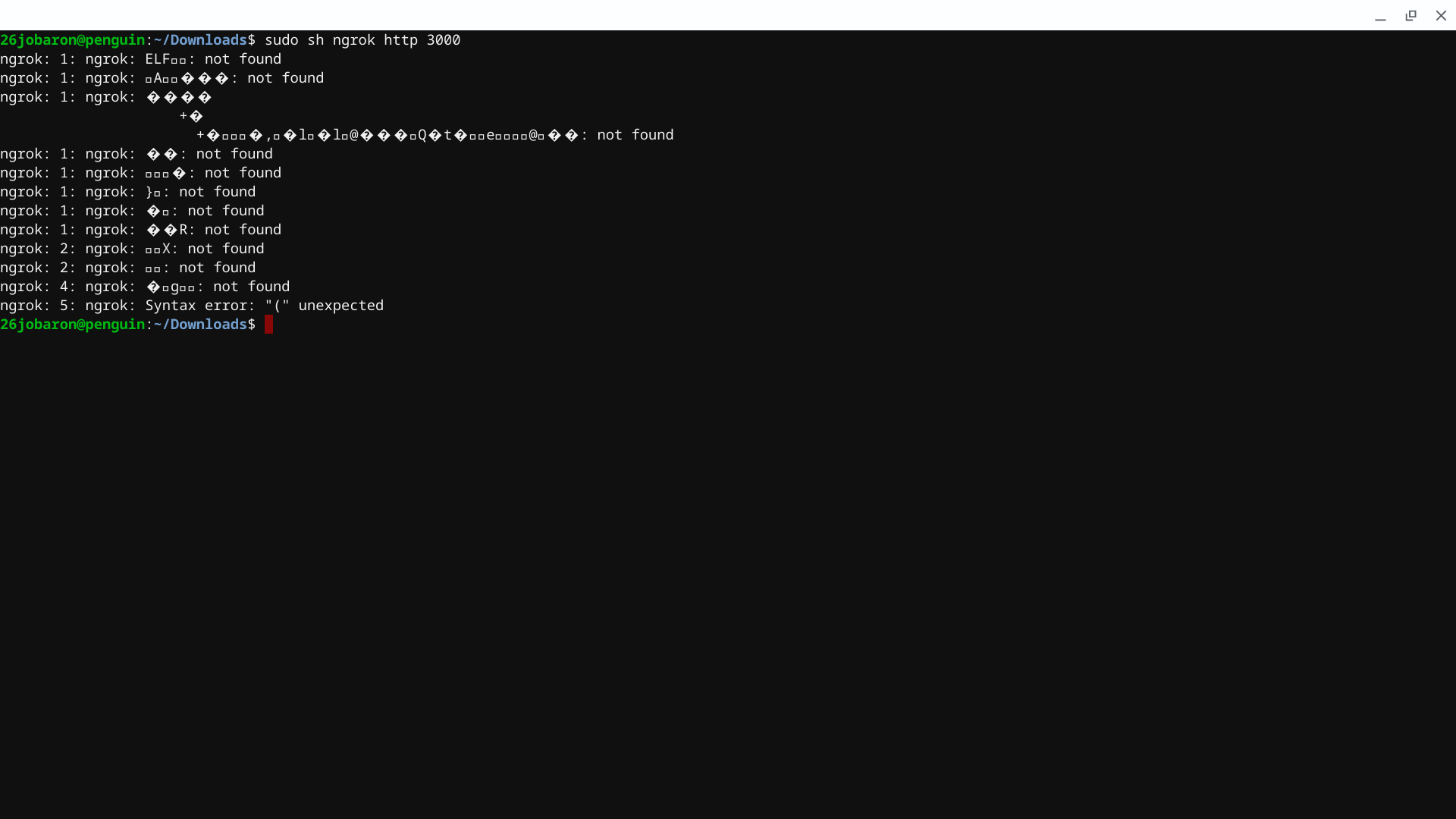setup problem · Issue #638 · inconshreveable/ngrok · GitHub