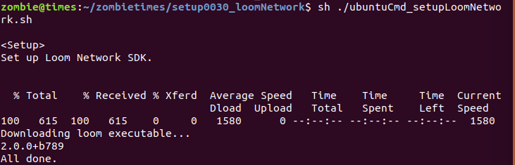 setup0030_loomNetwork_0000