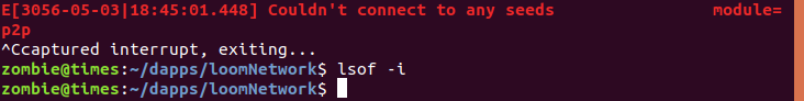 setup0030_loomNetwork_0002