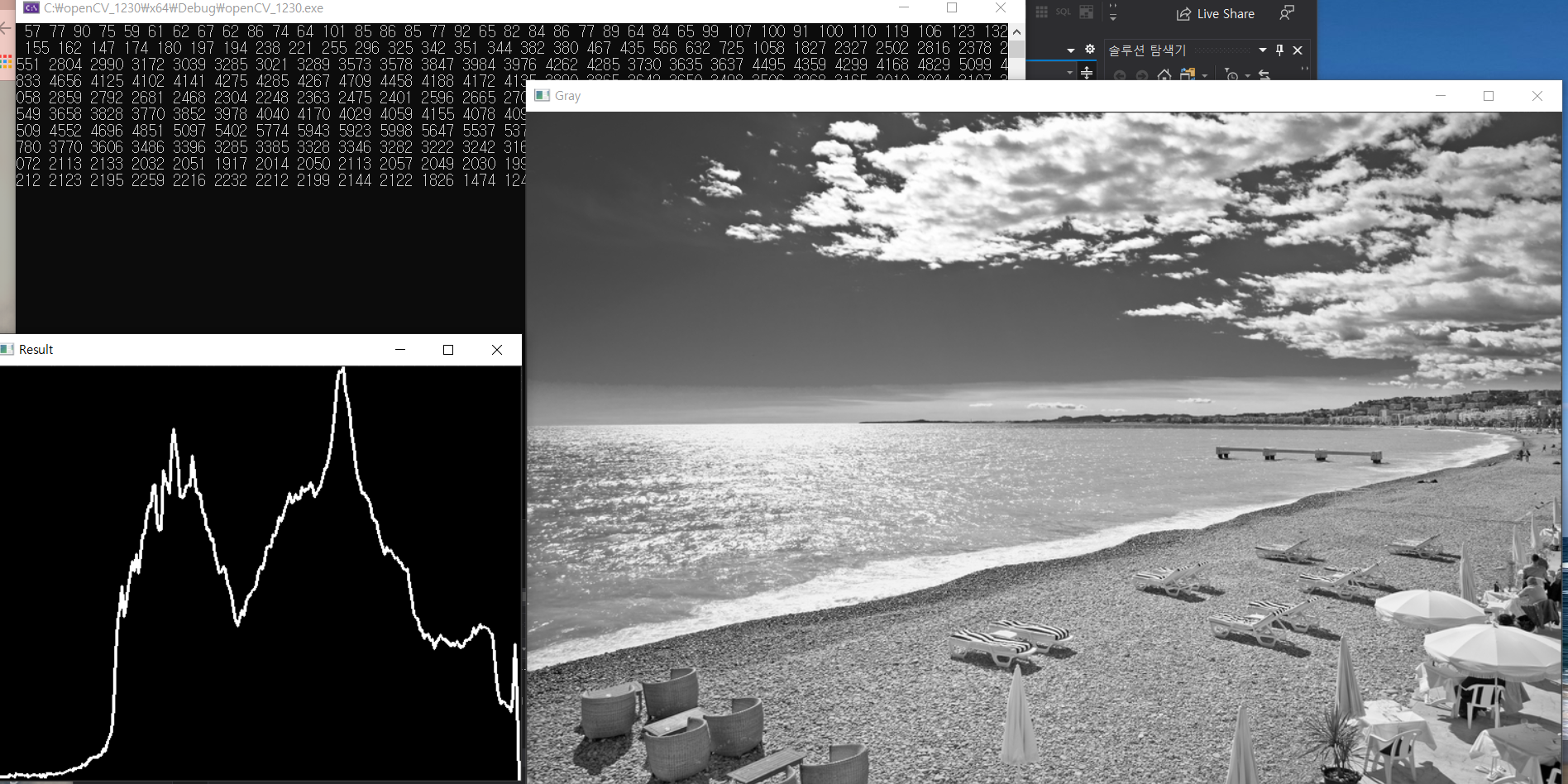 result_c++
