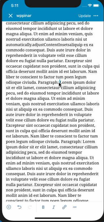 caret-position-on-space