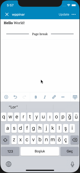 ios-longtext-visualmode-iphonex-