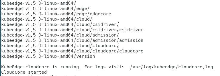 There is no edge when kubectl get node · Issue #2579 · kubeedge ...