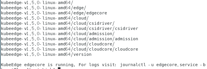 There is no edge when kubectl get node · Issue #2579 · kubeedge ...