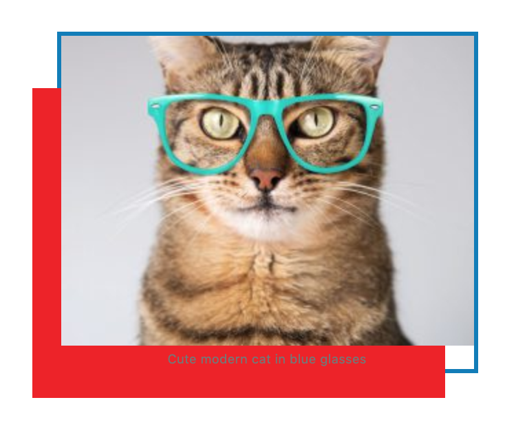 Box-shadow bug - backend