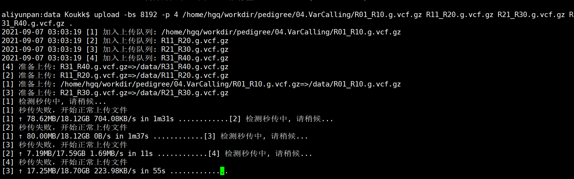 Linux端上传大文件（20GB）失败 · Issue #5 · tickstep/aliyunpan · GitHub