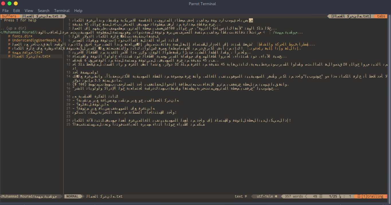nvim